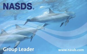 E-Learning NASDS Group Leader (GER)