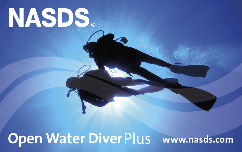 E-Learning NASDS Open Water Diver Plus (GER)